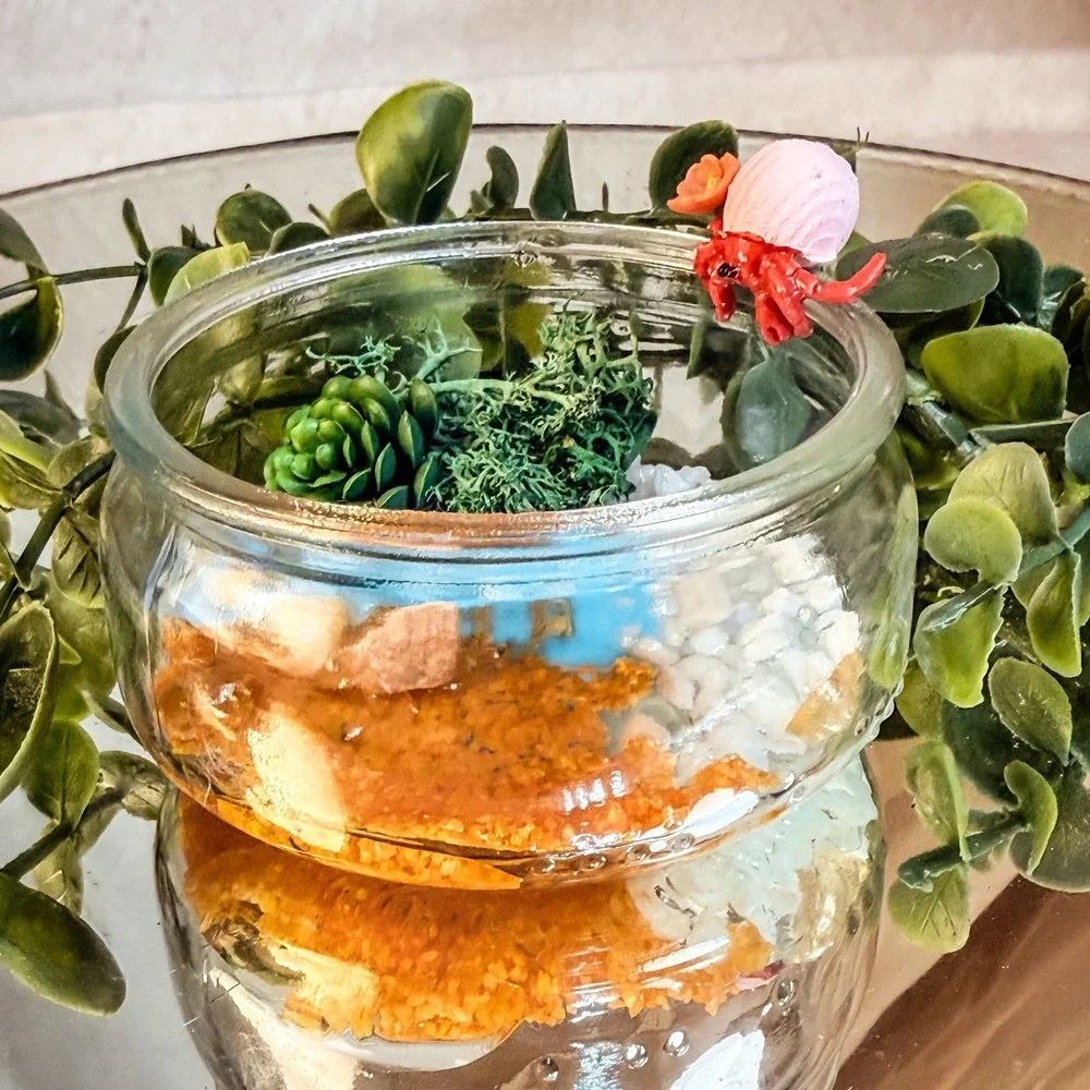 Mini Crab Terrarium